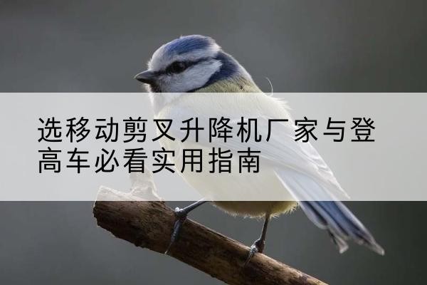 塔城电动升降机厂家-选移动剪叉升降机厂家与登高车必看实用指南