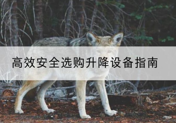 塔城升降货梯厂家推荐-*安全选购升降设备指南