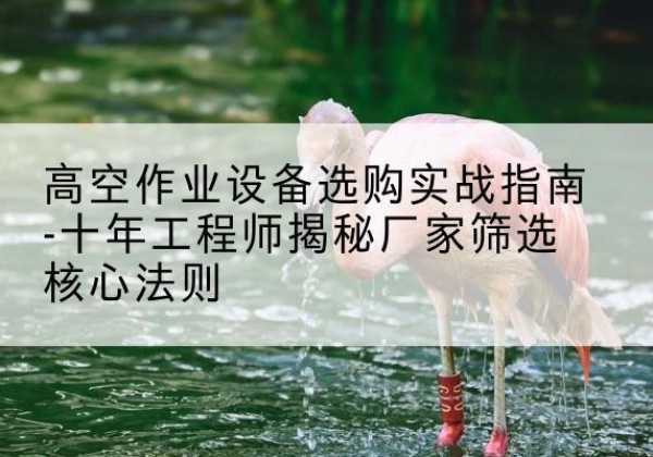塔城剪叉式升降机厂家-高空作业设备选购实战指南-十年工程师揭秘厂家筛选核心法则